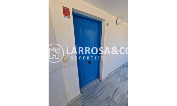 Reventa - Apartamento - Guardamar del Segura - Costa Blanca
