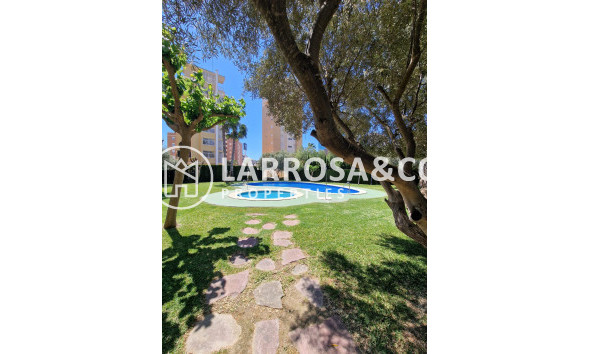 Reventa - Apartamento - Guardamar del Segura - Costa Blanca