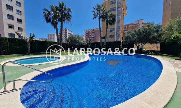 Reventa - Apartamento - Guardamar del Segura - Costa Blanca