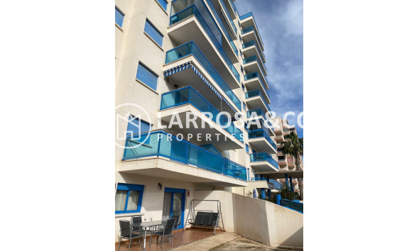Reventa - Apartamento - Guardamar del Segura - Costa Blanca