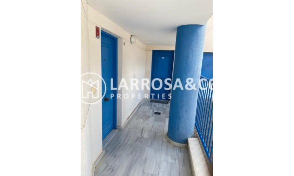 Reventa - Apartamento - Guardamar del Segura - Costa Blanca