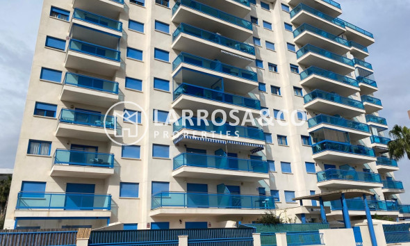 Reventa - Apartamento - Guardamar del Segura - Costa Blanca