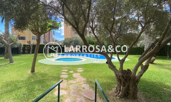 Reventa - Apartamento - Guardamar del Segura - Costa Blanca