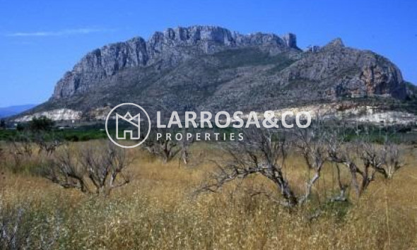 Nouvelle Construction - Penthouse  - El Verger