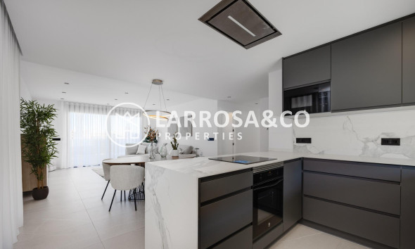 Nouvelle Construction - Villa - Torrevieja - Sector 25