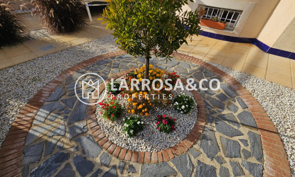 Reventa - Chalet - Benijofar - Benimar 3