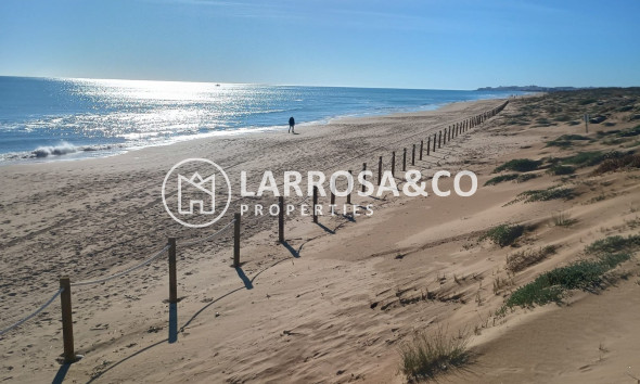 Reventa - Apartamento - Guardamar del Segura - Costa Blanca