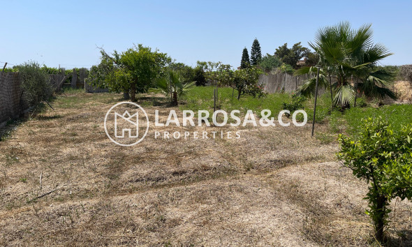 A Vendre - Villa - Daya Nueva - Costa Blanca