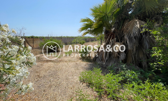 A Vendre - Villa - Daya Nueva - Costa Blanca