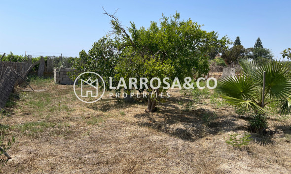 A Vendre - Villa - Daya Nueva - Costa Blanca