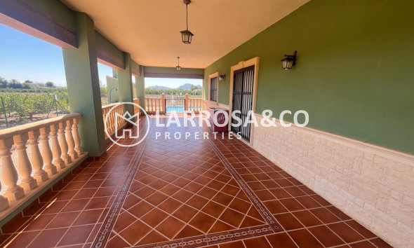 A Vendre - Finca - Daya Nueva - La Bodega