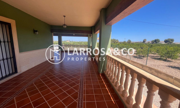 A Vendre - Finca - Daya Nueva - La Bodega