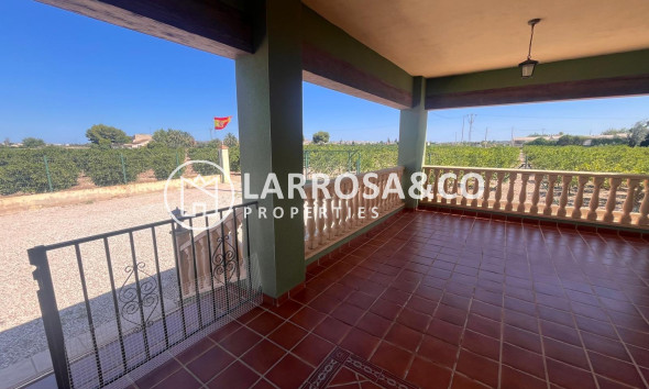 A Vendre - Finca - Daya Nueva - La Bodega