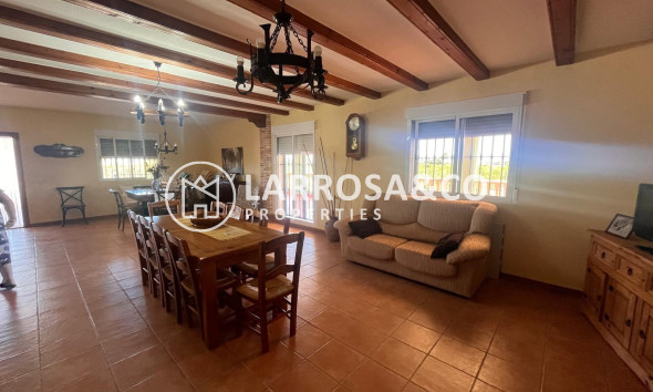 A Vendre - Finca - Daya Nueva - La Bodega