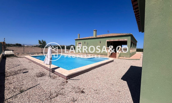 A Vendre - Finca - Daya Nueva - La Bodega