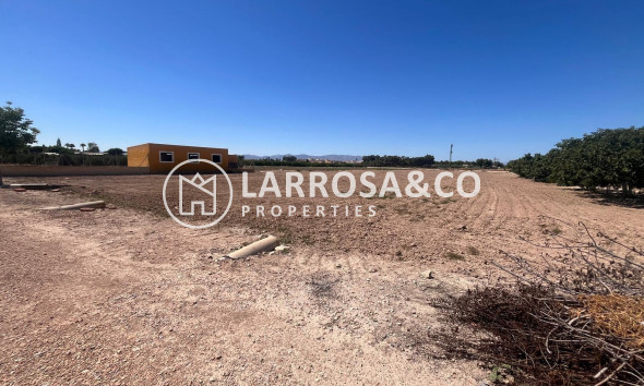 A Vendre - Finca - Daya Nueva - La Bodega