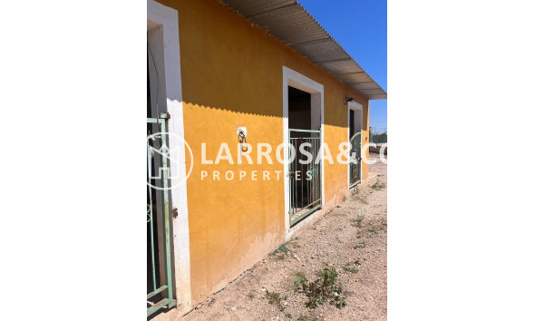 A Vendre - Finca - Daya Nueva - La Bodega