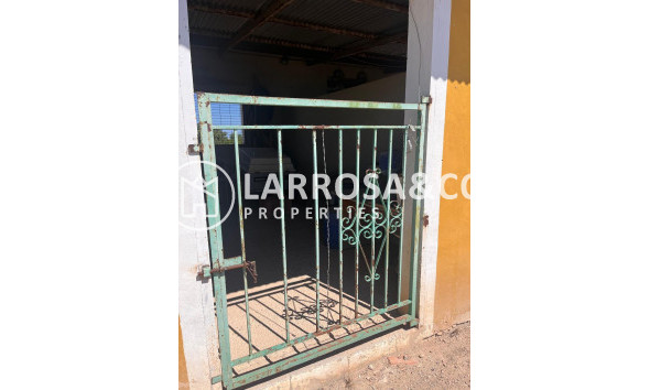 A Vendre - Finca - Daya Nueva - La Bodega