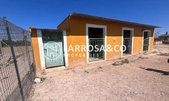 A Vendre - Finca - Daya Nueva - La Bodega
