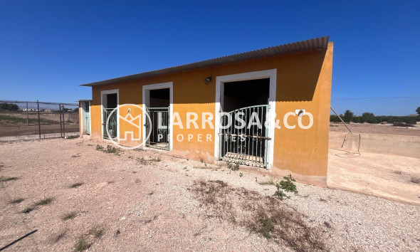 A Vendre - Finca - Daya Nueva - La Bodega