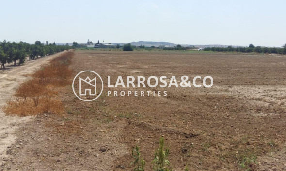 A Vendre - Country house - Daya Nueva - Costa Blanca