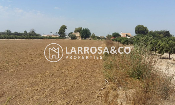 A Vendre - Country house - Daya Nueva - Costa Blanca