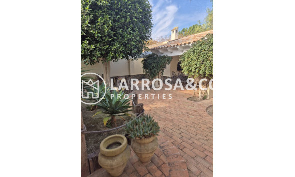 A Vendre - Finca - Daya Vieja - Costa Blanca