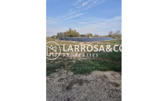 A Vendre - Finca - Daya Vieja - Costa Blanca