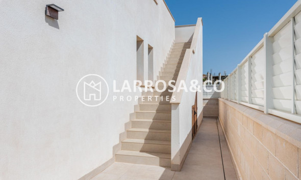 Nouvelle Construction - Villa - Vera - Vera playa