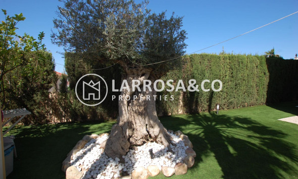 Reventa - Chalet - Ciudad Quesada - Costa Blanca