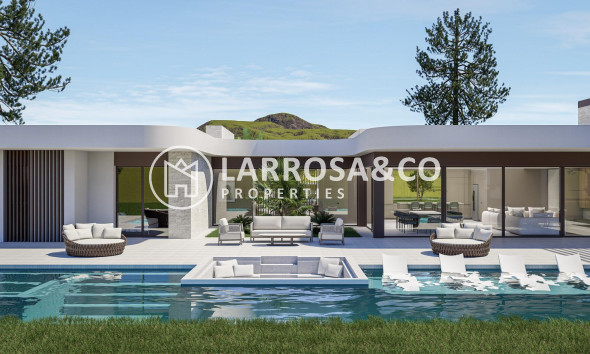 Obra Nueva - Chalet - Pinoso - Lel