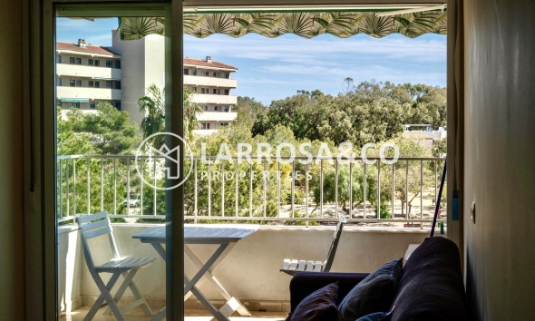 Resale - Apartment - Guardamar del Segura - Costa Blanca