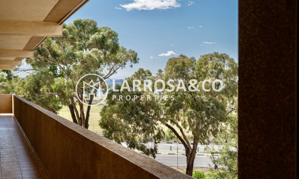 Resale - Apartment - Guardamar del Segura - Costa Blanca