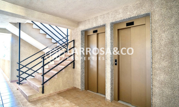 Resale - Apartment - Guardamar del Segura - Costa Blanca