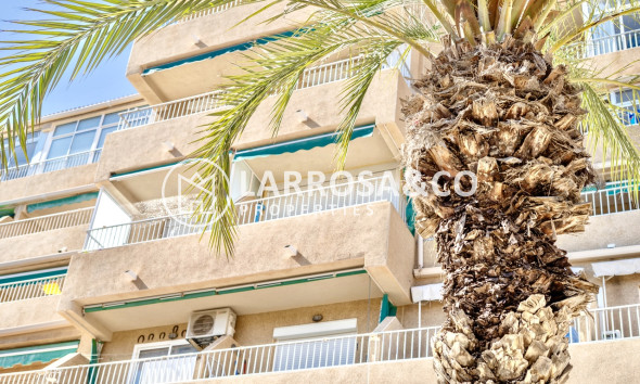 Resale - Apartment - Guardamar del Segura - Costa Blanca
