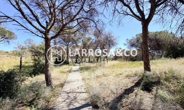 Вторичный рынок - Квартира - Гуардамар дель Сегура - Costa Blanca