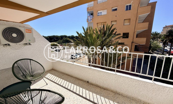 Вторичный рынок - Квартира - Гуардамар дель Сегура - Costa Blanca