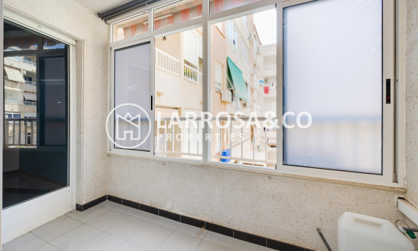Resale - Apartment - Torrevieja - Playa de Los Locos-Curva del Palangre