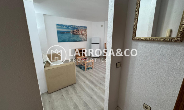 Resale - Apartment - Torrevieja - Playa de Los Locos-Curva del Palangre