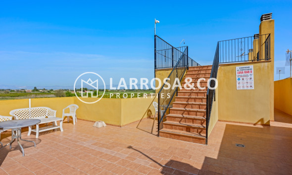 Resale - Apartment - Daya Nueva - Costa Blanca
