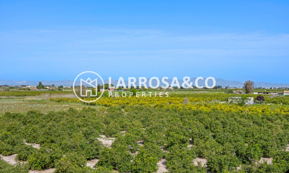 Resale - Apartment - Daya Nueva - Costa Blanca