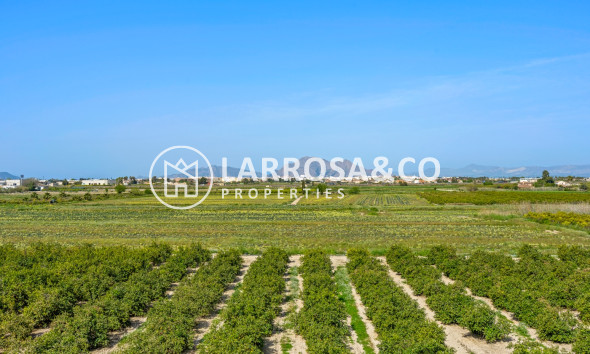 Resale - Apartment - Daya Nueva - Costa Blanca