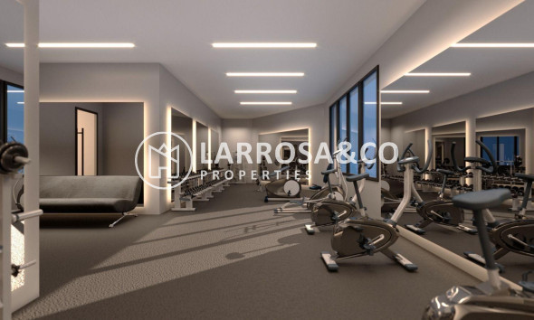 Obra Nueva - Atico - Torrevieja - Parque de las Naciones