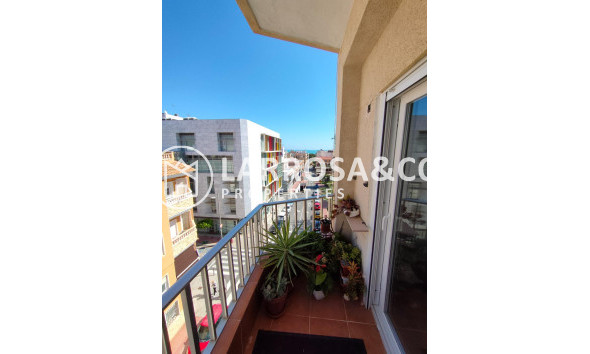 Herverkoop - Apartment - Guardamar del Segura - Zona Pueblo