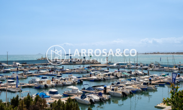 Reventa - Apartamento - Pilar de la Horadada - Costa Blanca