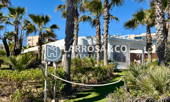 Reventa - Apartamento - Pilar de la Horadada - Costa Blanca