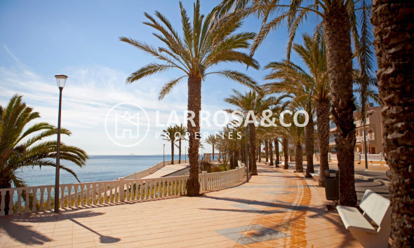 Resale - Apartment - Pilar de la Horadada - Torre de la Horadada