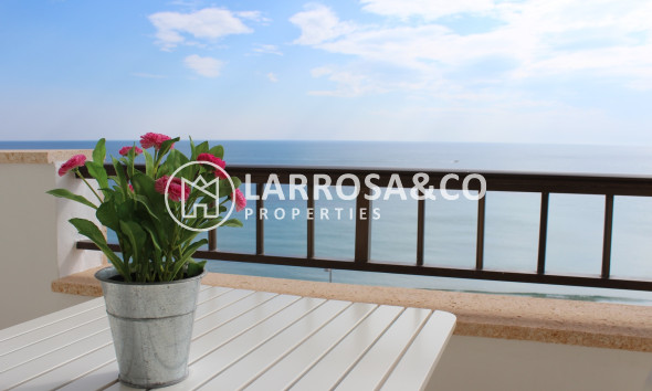 Herverkoop - Apartment - Mil Palmeras - Costa Blanca