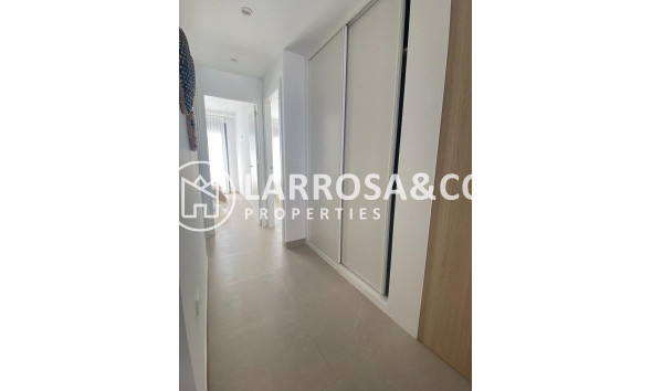 New build - Bungalow - San Pedro del Pinatar - El salero