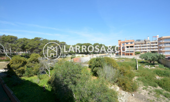 Resale - Apartment - Guardamar del Segura - CERVANTES-PLAYA